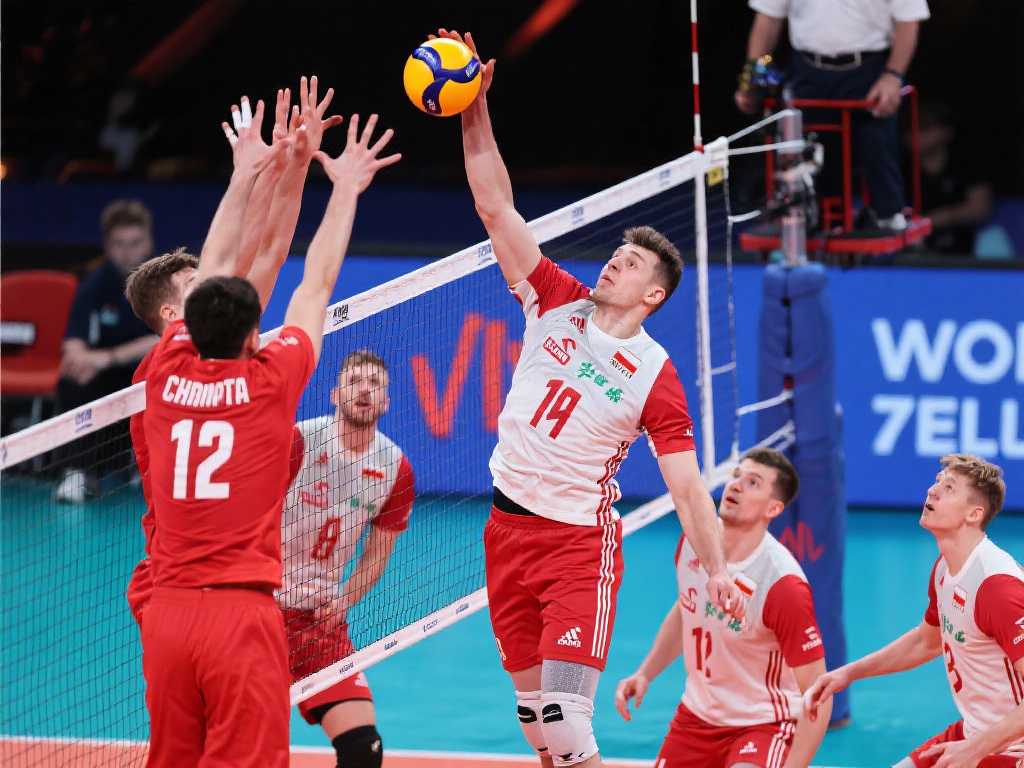 场体育赛事 场体育赛事